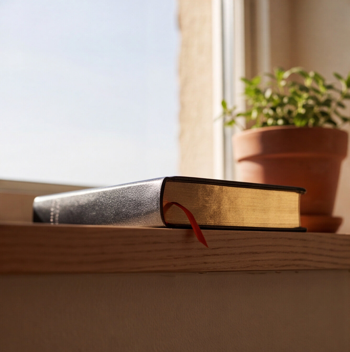 A dark gray leather-bound book with a red ribbon bookmark rests on a wooden windowsill next to a potted green plant in a terracotta pot.